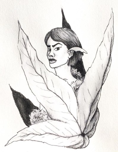 42169565_1730118407098644_6127418098687153093_n (1)