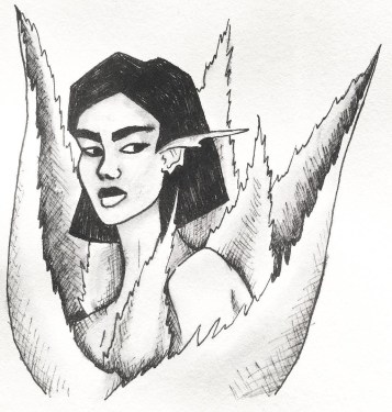 44290197_2222330818027004_8368284530149785261_n